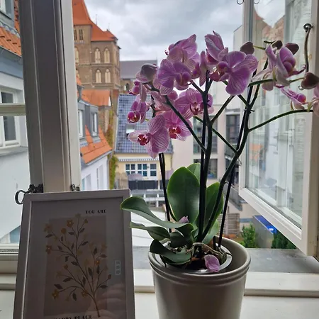 Charmante Im Herzen Von דירה *